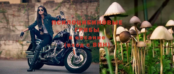 не бодяженный Горно-Алтайск