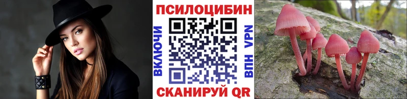 Псилоцибиновые грибы GOLDEN TEACHER  Усть-Джегута 